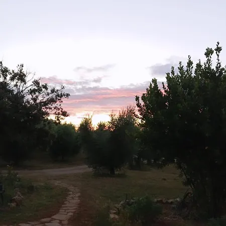 La Tana Della Volpe *