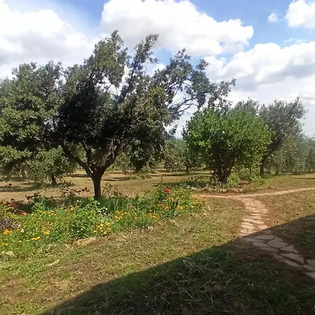 La Tana Della Volpe Apartment