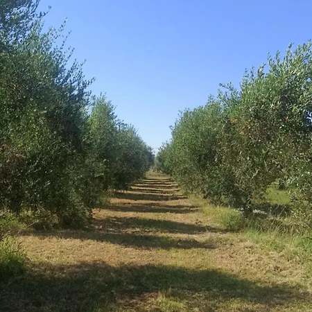 La Tana Della Volpe Apartment *