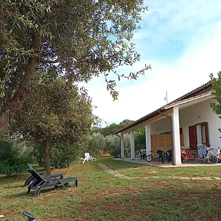 La Tana Della Volpe Alberese