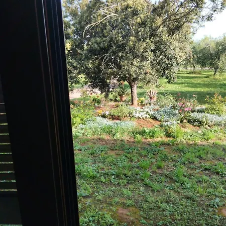 La Tana Della Volpe *