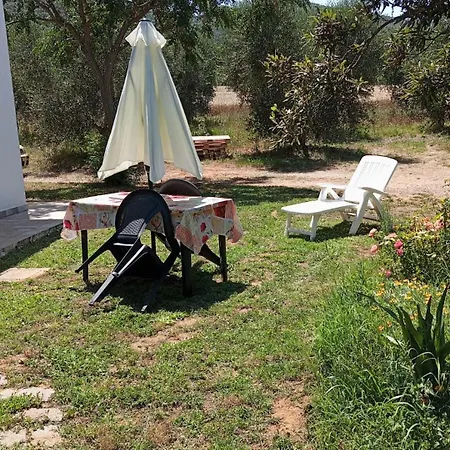 La Tana Della Volpe *