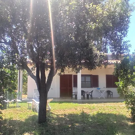 La Tana Della Volpe *