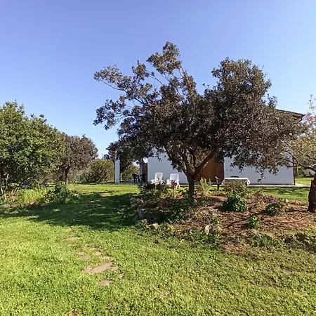 La Tana Della Volpe Apartment *