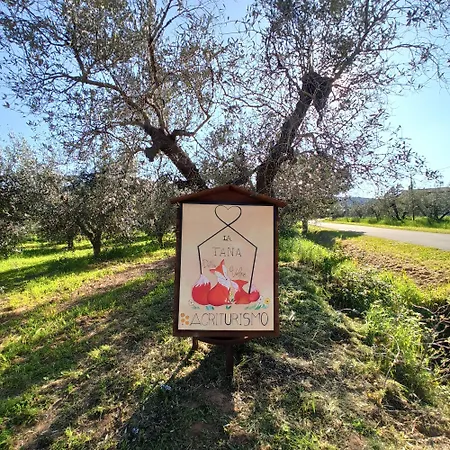 La Tana Della Volpe * Alberese