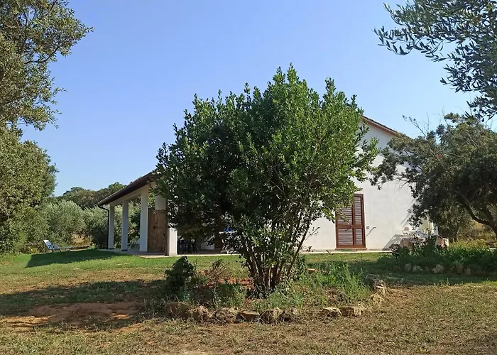 La Tana Della Volpe * 奥贝里塞