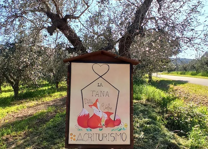 La Tana Della Volpe 公寓 奥贝里塞
